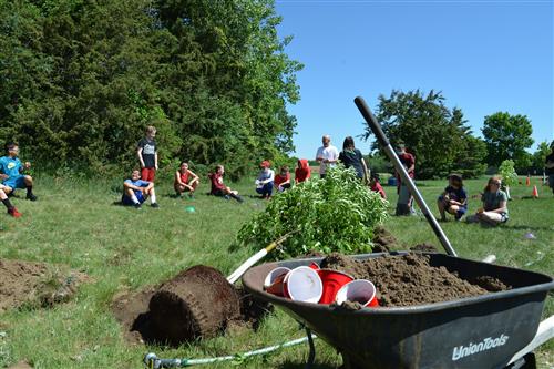 students gather around a wheelbarrow full of dirt and a tree waiting to be planted